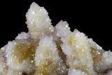 Cactus Quartz (Amethyst) Crystal Cluster - South Africa #132531-3